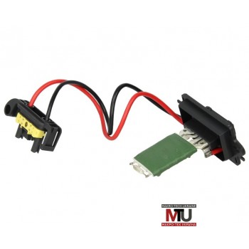 Резистор отопителя Renault Megane II (2002-2008) - THERMOTEC DER001TT