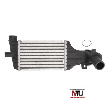 Интеркулер THERMOTEC DAX006TT