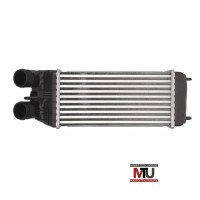 Интеркулер THERMOTEC DAP003TT
