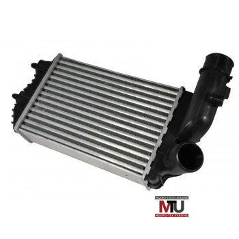 Интеркулер THERMOTEC DAF001TT