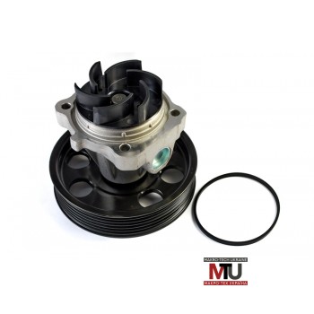 Водяной насос THERMOTEC D1F074TT