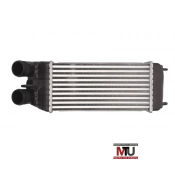 Интеркулер THERMOTEC DAP003TT