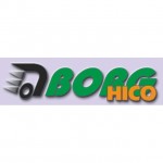 BORG-HICO