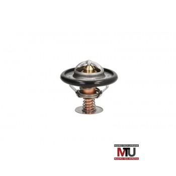 Термостат THERMOTEC D2C002TT