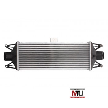 Интеркулер THERMOTEC DAE001TT