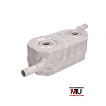 Масляный радиатор THERMOTEC D4P003TT
