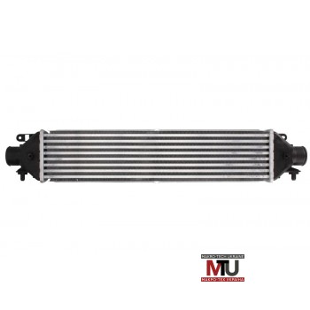 Интеркулер THERMOTEC DAD002TT