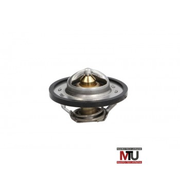 Термостат THERMOTEC D2C001TT