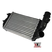 Интеркулер THERMOTEC DAF001TT