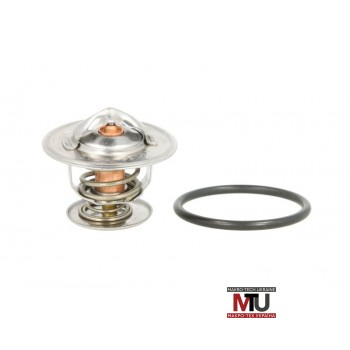 Термостат THERMOTEC D2A001TT